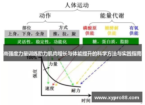 高强度力量训练助力肌肉增长与体能提升的科学方法与实践指南